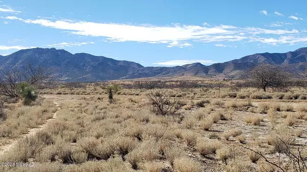 Pearce, AZ 85625,2 Acres S Middlemarch Road #10