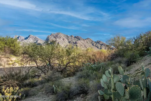 625 W Atua Place #72,  Oro Valley,  AZ 85737