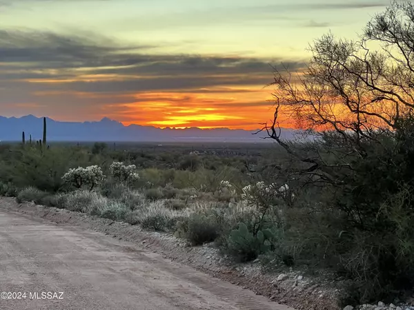 Marana, AZ 85658,41580 E Derrio Canyon Lots C & D 10 Ac  #-