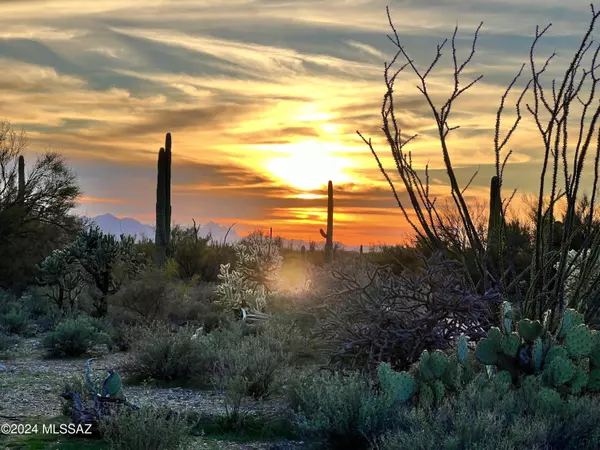 Marana, AZ 85658,41580 E Derrio Canyon Lots C & D 10 Ac  #-