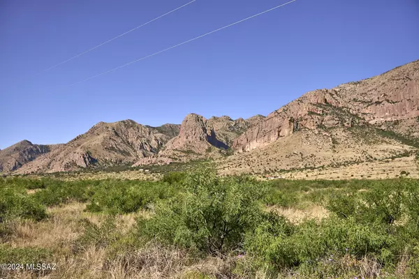 Portal, AZ 85632,TBD Sulphur Canyon Road #22