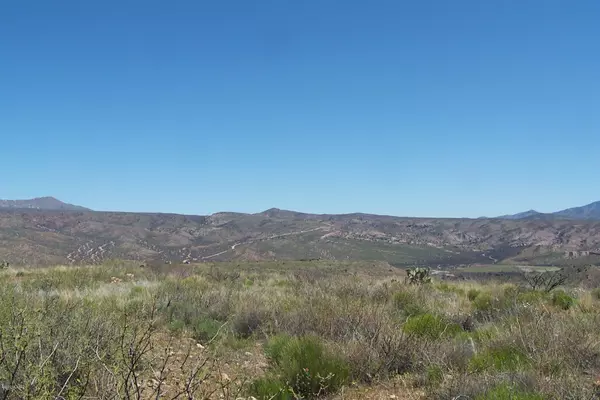 Willcox, AZ 85643,Lot 272 End of the Trail Road #272