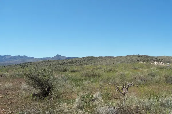 Willcox, AZ 85643,Lot 272 End of the Trail Road #272