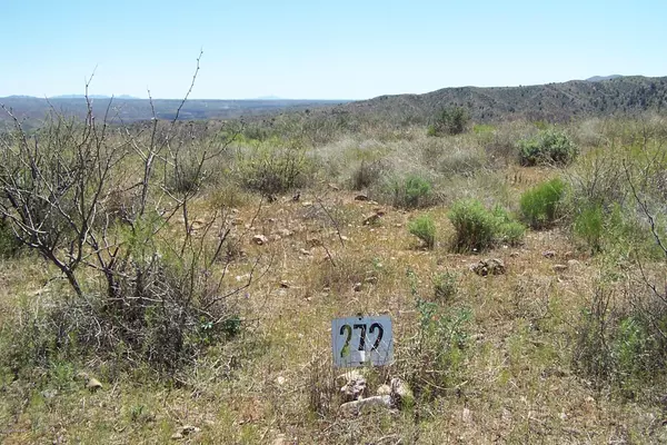 Lot 272 End of the Trail Road #272, Willcox, AZ 85643