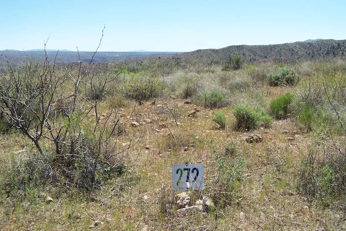 Willcox, AZ 85643,Lot 272 End of the Trail Road #272