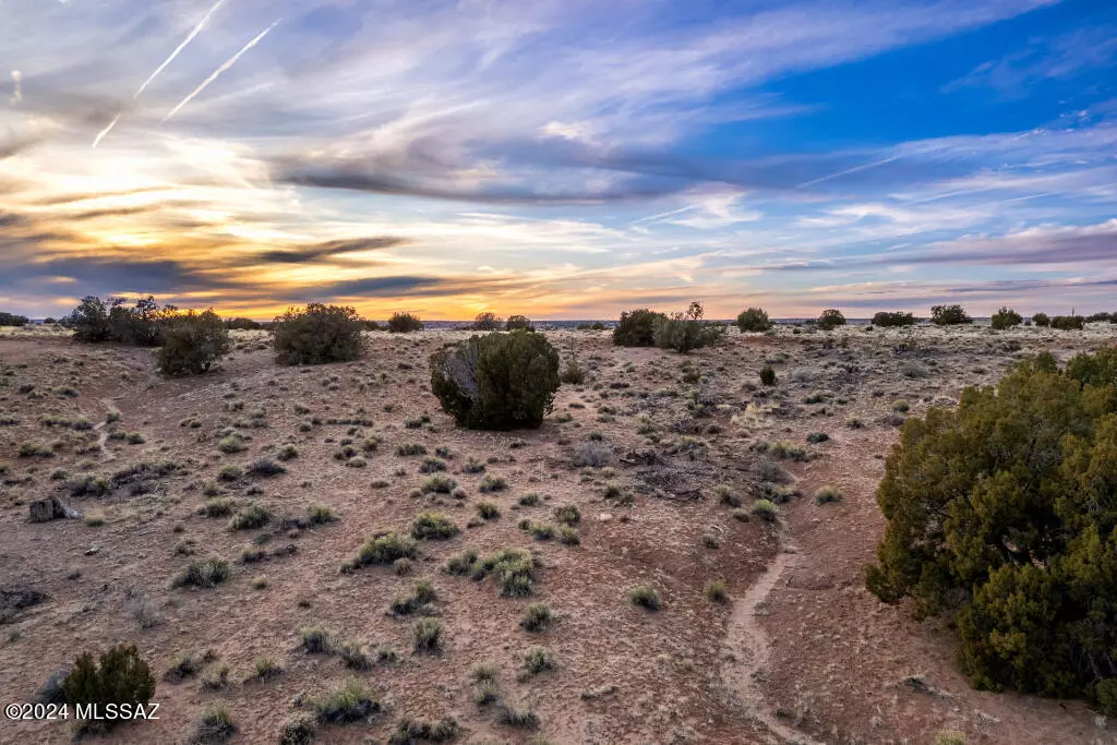 Concho, AZ 85924,Lot 616 Woodridge Ranch  #15