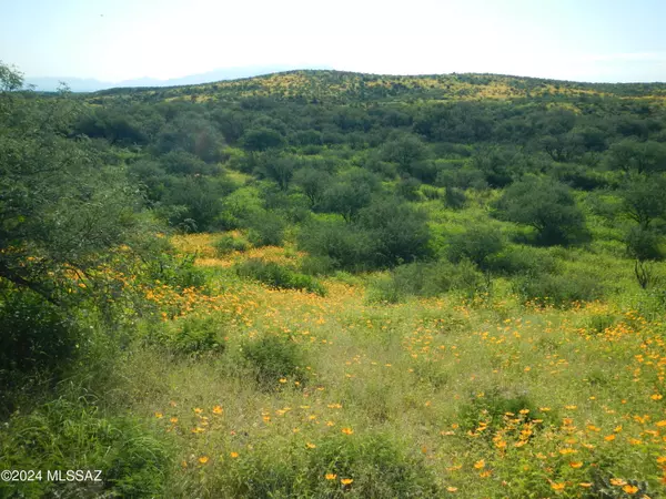 Amado, AZ 85645,TBD W Arivaca Road