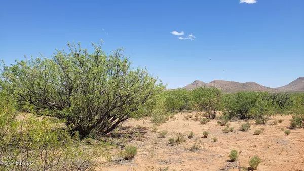 Pearce, AZ 85625,20 AC S Grimmett Road #143B