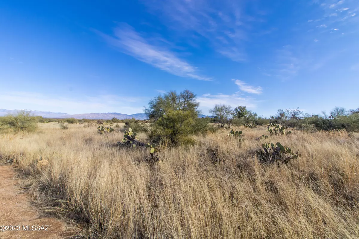 Corona De Tucson, AZ 85641,115 S Richmond Drive #135