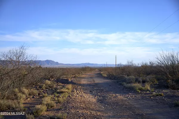 38.47 Acre S Brittany Lane #11-3, Portal, AZ 85632