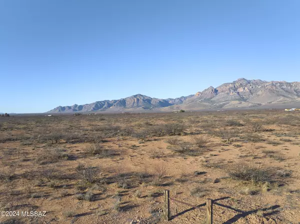 Portal, AZ 85632,38.47 Acre S Brittany Lane #11-3