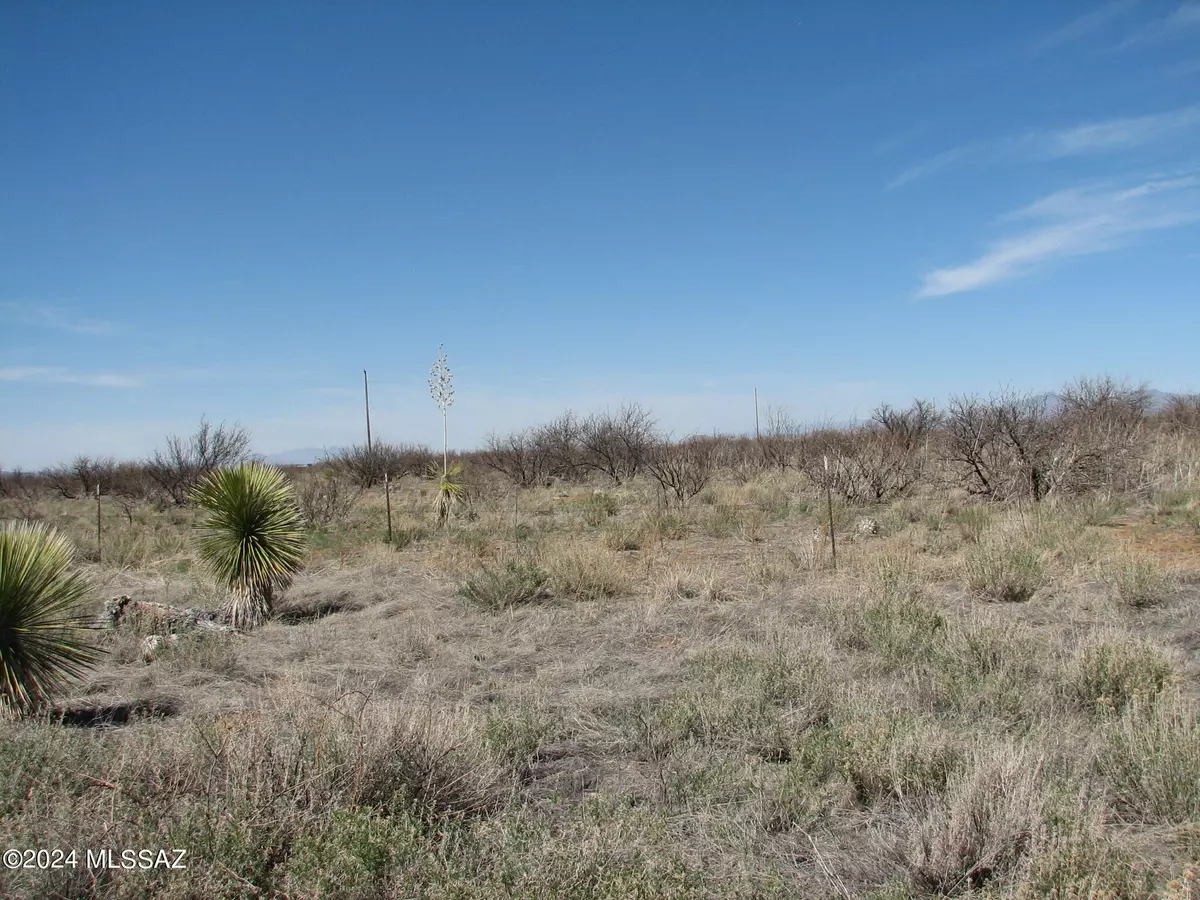 Pearce, AZ 85625,20 Ac Bumble Bee Lane #0