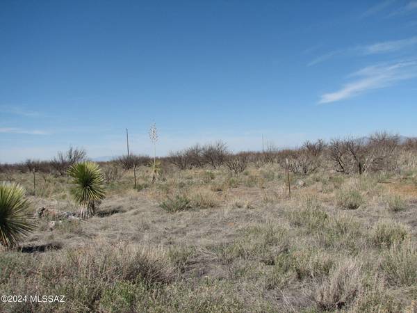 20 Ac Bumble Bee Lane #0, Pearce, AZ 85625