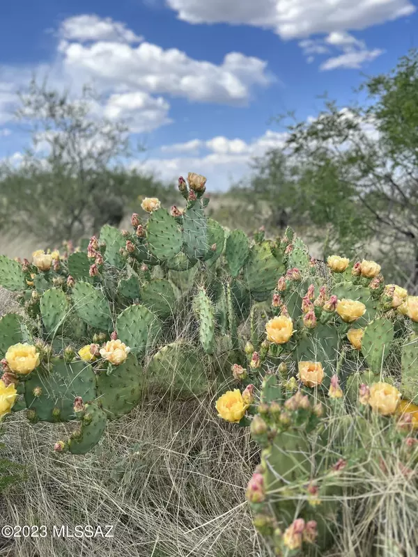 TBD E Vanessa Way, Oracle, AZ 85623