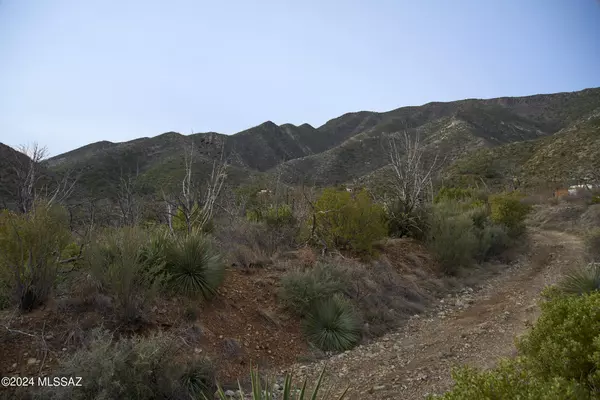 San Simon, AZ 85632,3.49 Acre W Hilltop Road #n/a