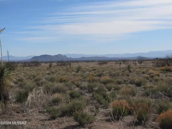 Pearce, AZ 85625,TBD Orange Street