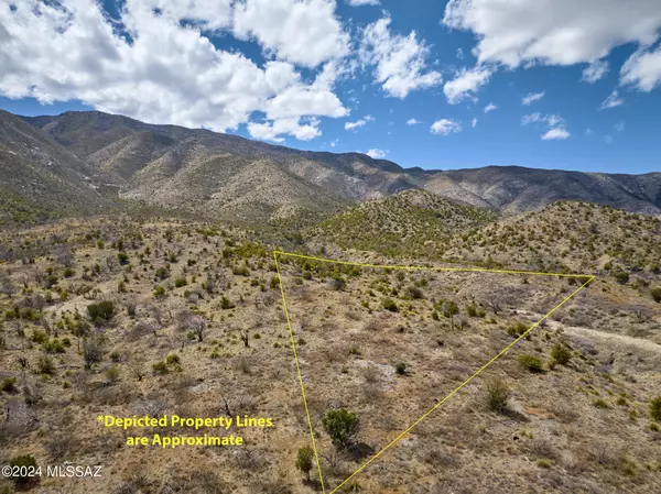 4.12 Acre W Hilltop Road #n/a,  San Simon,  AZ 85632