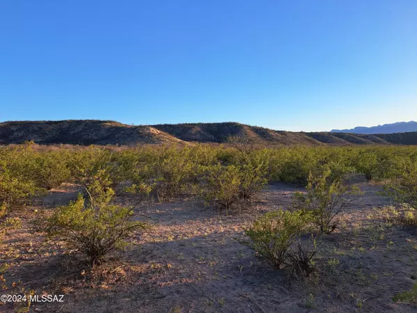 Benson, AZ 85602,S Lonesome Road