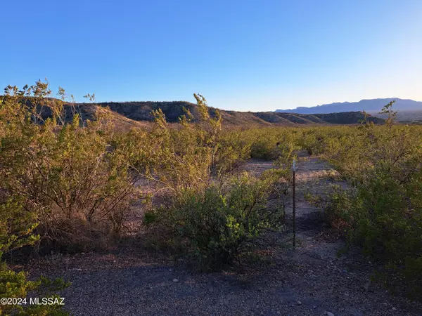 Benson, AZ 85602,S Lonesome Road