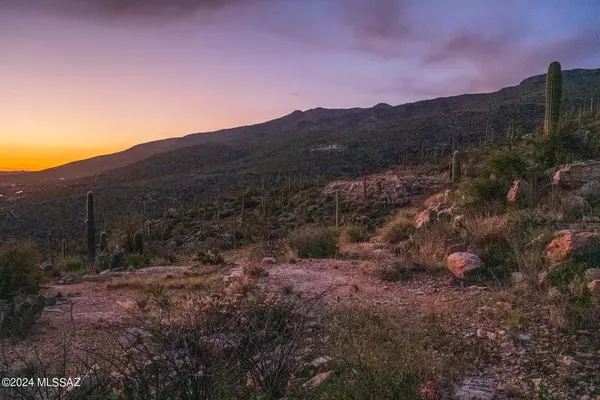 Tucson, AZ 85749,13013 E Cabeza De Vaca #Lot C