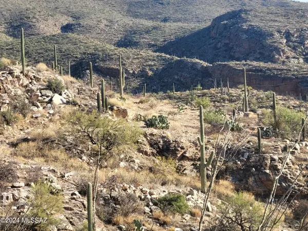 Tucson, AZ 85749,13013 E Cabeza De Vaca #Lot C