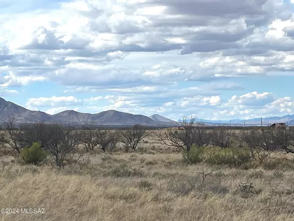 Pearce, AZ 85625,TBD 4 Lots E Pine Street #2