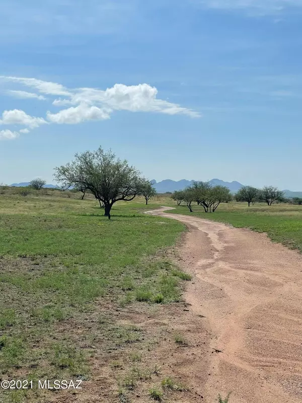 Sonoita, AZ 85637,TBD Wild Antelope  #11