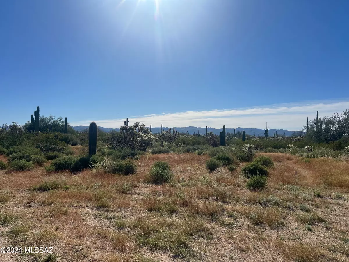 Marana, AZ 85658,Hedgehog