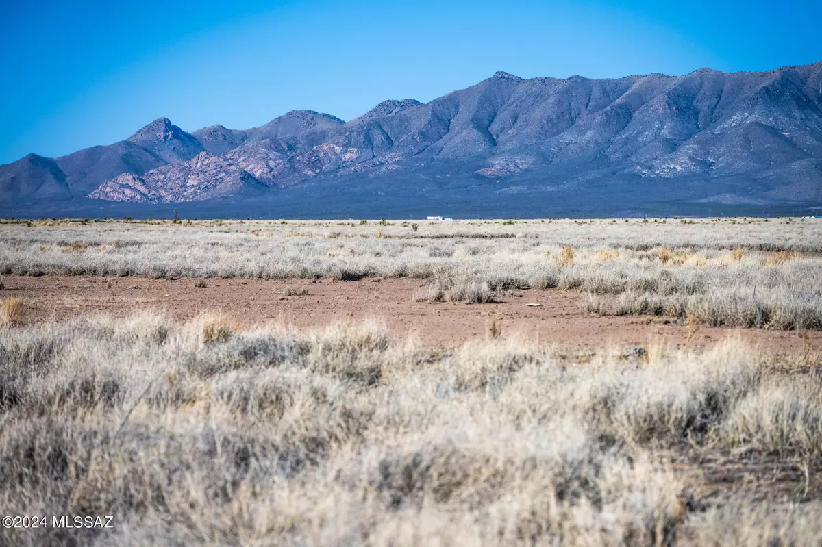 Mc Neal, AZ 85617,40 Acres W Ortiz Rd/Dbl E  #32-03