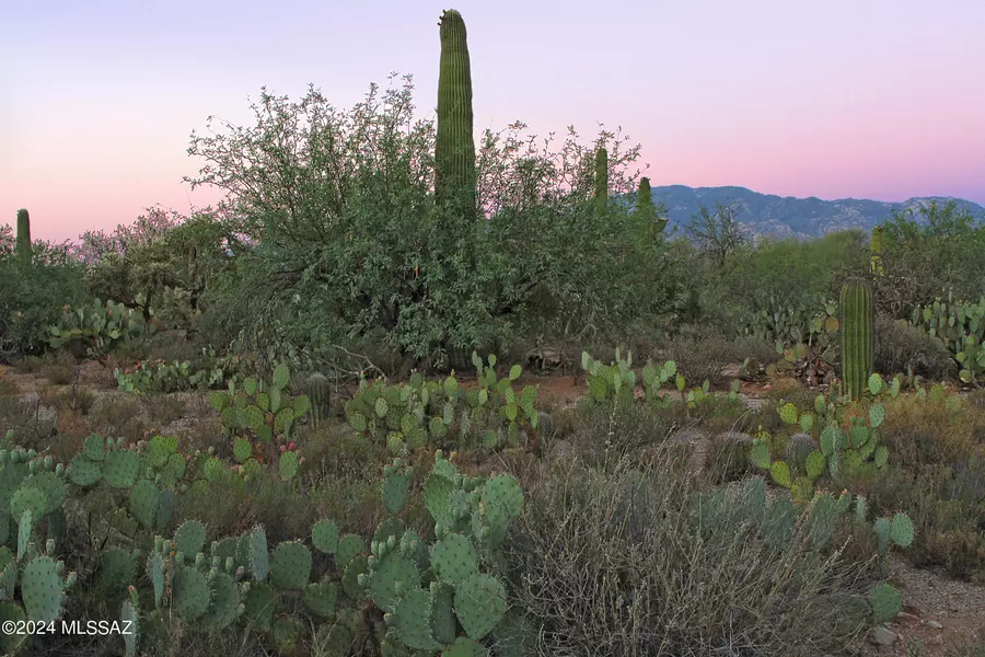 11876 N Vista Del Sol  #21, Oro Valley, AZ 85742