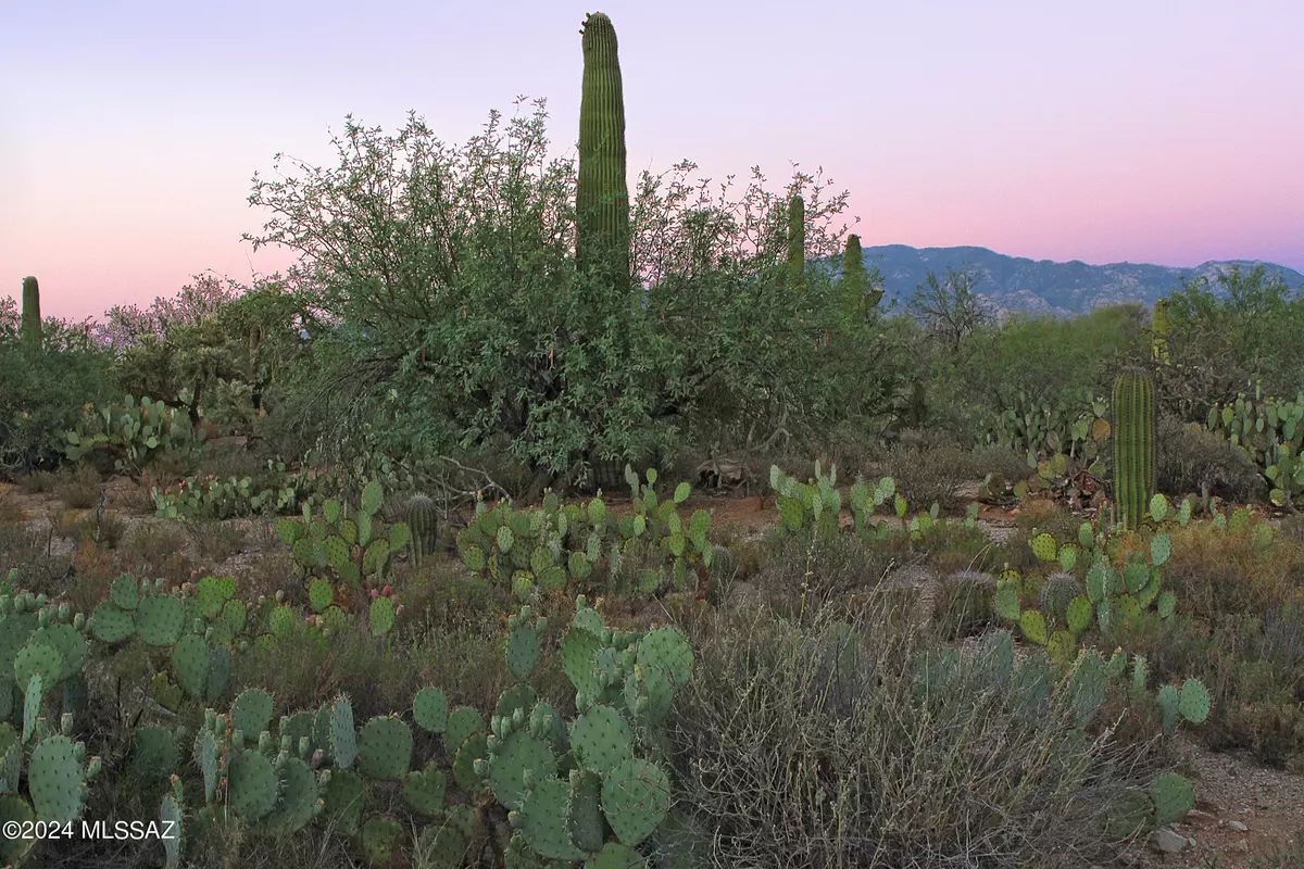 Oro Valley, AZ 85742,11876 N Vista Del Sol  #21