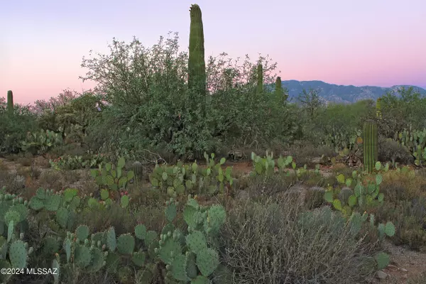 11876 N Vista Del Sol  #21, Oro Valley, AZ 85742