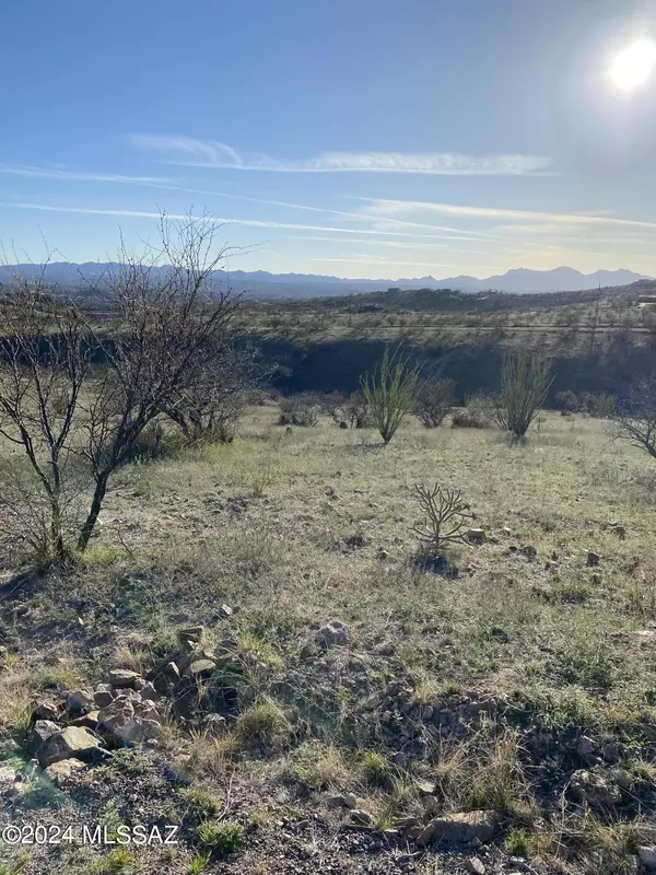 1072 Vereda Guadalajara  #19, Rio Rico, AZ 85648