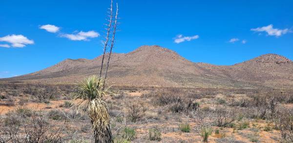 20 AC off Mule Deer Road #-, Pearce, AZ 85625