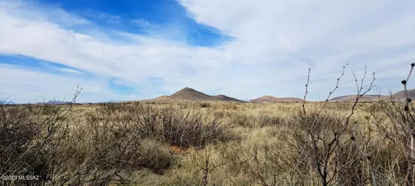 Elfrida, AZ 85610,2.69 Acres off Rucker Canyon Rd  #-575