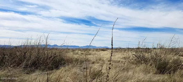 Elfrida, AZ 85610,2.69 Acres off Rucker Canyon Rd  #-575