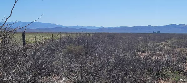 Elfrida, AZ 85610,324 Acres Hwy 191