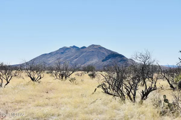 Tubac, AZ 85646,TBD Camino Josefina  #50