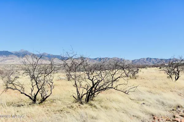 Tubac, AZ 85646,TBD Camino Josefina  #50