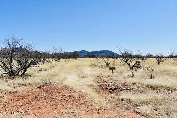 Tubac, AZ 85646,TBD Camino Josefina  #50