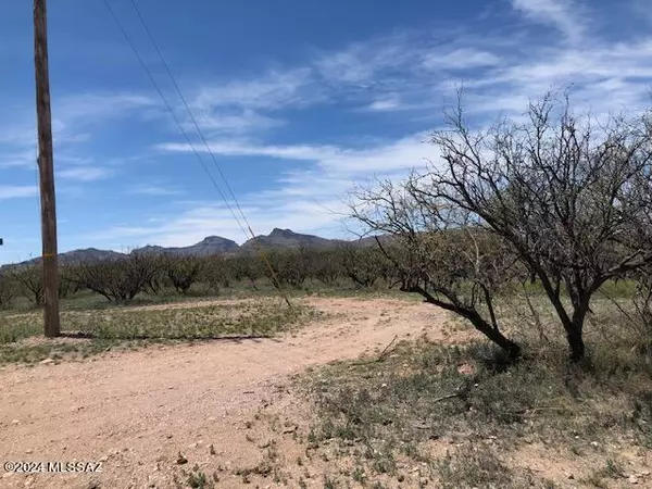 Rio Rico, AZ 85648,738 Camino Arruza  #30