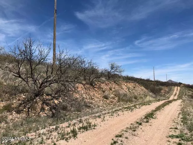 Rio Rico, AZ 85648,704 Calle Joselitos  #8