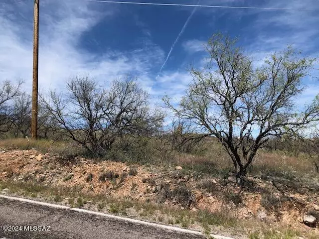 Rio Rico, AZ 85648,490 Camino Ramanote  #16