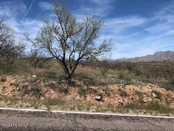 Rio Rico, AZ 85648,490 Camino Ramanote  #16