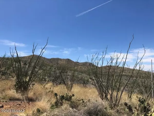 Vail, AZ 85641,10572 E Ocotillo Rim Trail #7