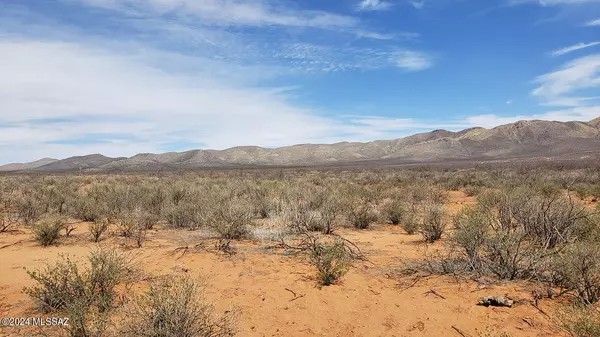 Elfrida, AZ 85610,2.5 AC off Weigand Pratt Road #1093