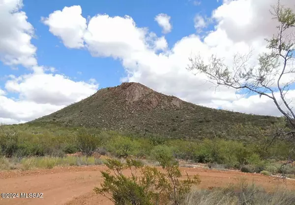 Elfrida, AZ 85610,77 +/- ACRE on Rambling Road #-