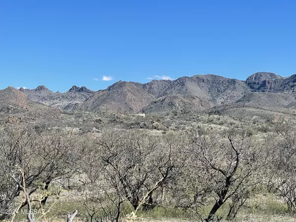 Rio Rico, AZ 85648,TBD Alamo Canyon Road #73