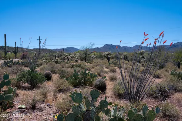 W Ironwood Hills Drive #1, Tucson, AZ 85745