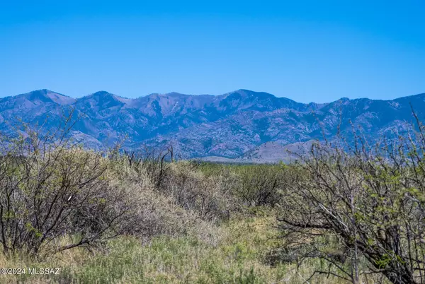 Pearce, AZ 85625,6.5 Acres Highway 181